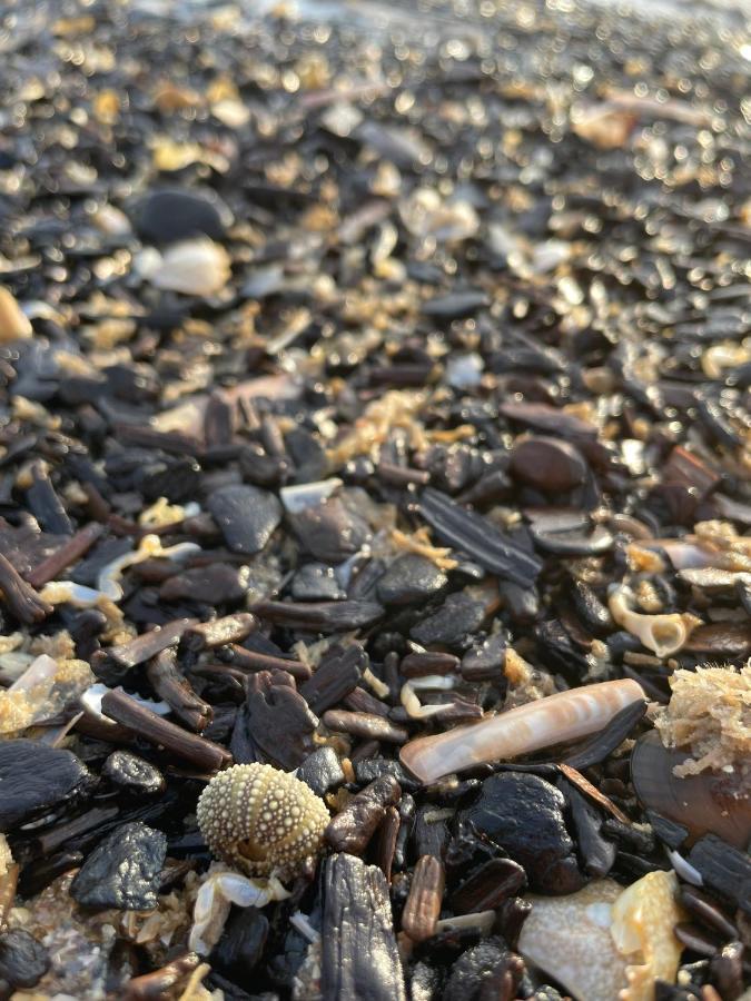 Beach House For You - Luxe Verblijf, 5 Min Van Het Strand Katwijk aan Zee ภายนอก รูปภาพ